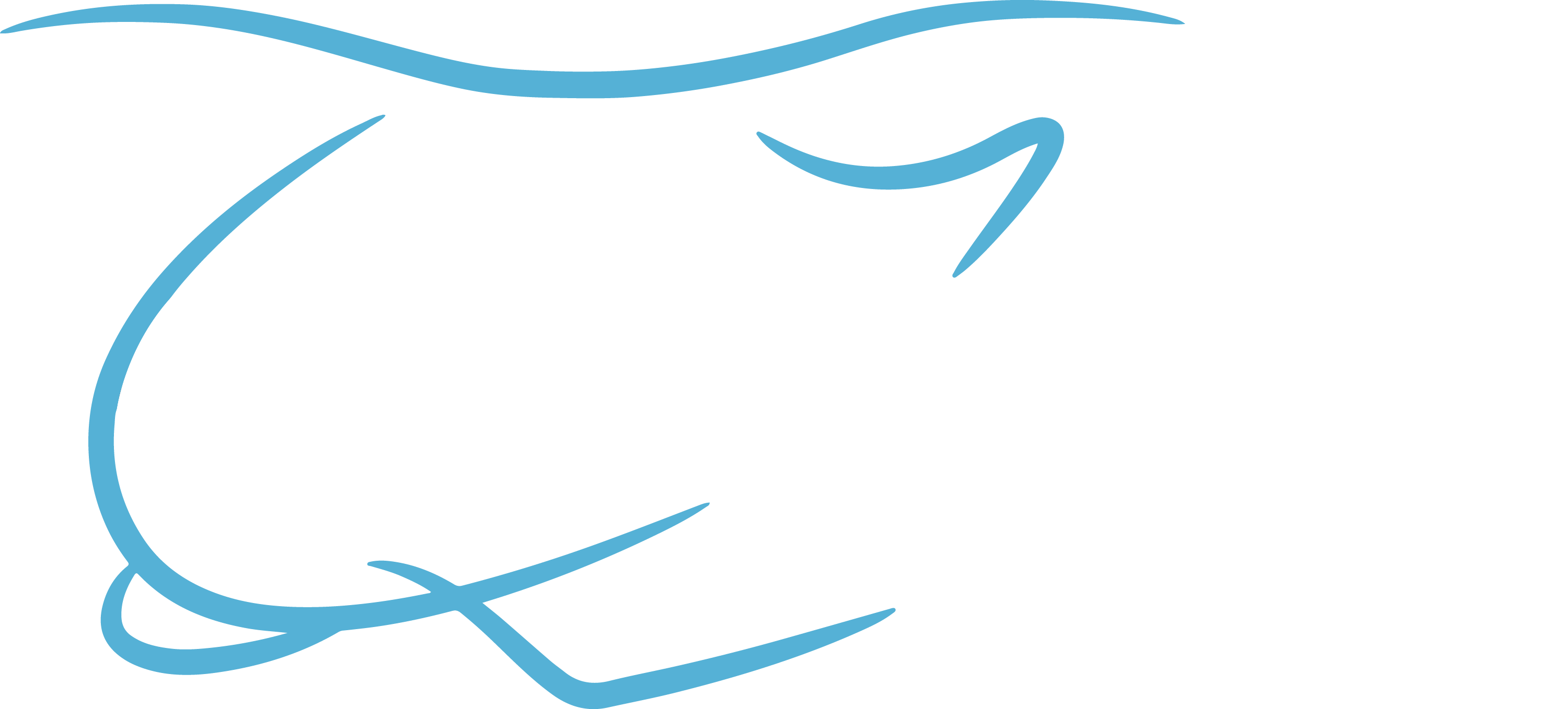 logo_white